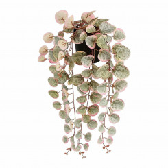 Декоративные растения из слюды Ceropegia Woodii 10 x 46 x 12 см искусственные для подвешивания