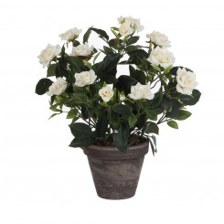Decorative Plant Mica Decorations Rosal Ceramic PVC