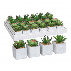 Decorative Plant Mica Decorations 8 x 5 cm PVC Succulent