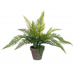 Dekoratiivne taim Vilgukivi kaunistused 40 x 11,5 cm Keraamiline PVC sõnajalg