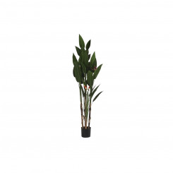 Decorative Plant DKD Home Decor (90 x 90 x 200 cm)