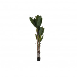 Декоративное растение DKD Home Decor Банановое растение (90 х 90 х 250 см)