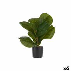Decorative Plant 9,5 x 42 x 9,5 cm Plastic 6 Units