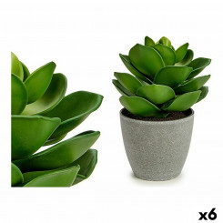 Декоративное растение Серо-Зеленое (16 x 21 x 16 см) (6 шт.)