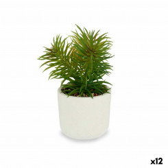 Декоративное растение Белый Зеленый (14 х 20 х 14 см) (12 шт.)
