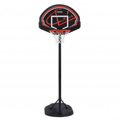 Korvpall Basket Lifetime 81 x 229 x 83 cm