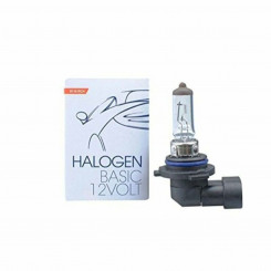 Halogeenpirn M-Tech Z10 HB4-9006 12V 55W