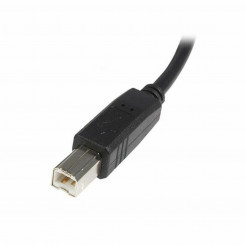 USB A - USB B Kaabel Startech USB2HAB3M Должен