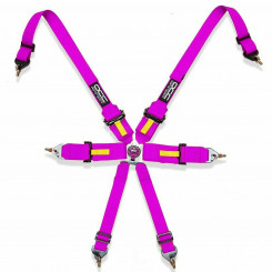 6-pin harness OCC Motorsport Pink