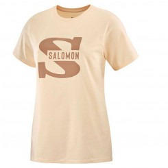 Мужская футболка с коротким рукавом Salomon Big Logo телесного цвета, бежевого, коричневого цвета