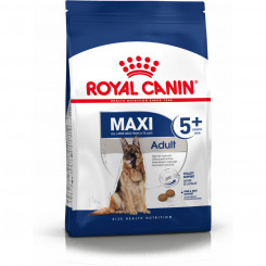 Fodder Royal Canin Maxi Adult 5+ Täiskasvanud riisilinnud 15 kg