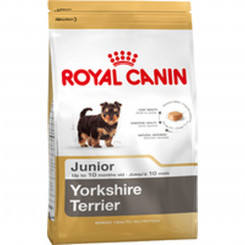 Fodder Royal Canin Yorkshire'i terjer juunior 7,5 kg Täiskasvanud Kid/Junior