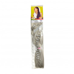 Hair extensions X-Pression Mattegray (101)