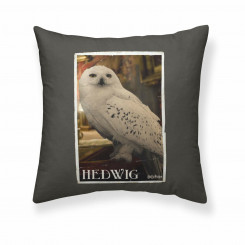 Pillowcase Harry Potter Hedwig 50 x 50 cm