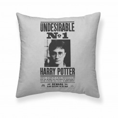 Padjakate Harry Potter Undesirable 50 x 50 cm