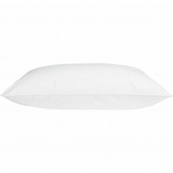 Pillow DODO White 50 x 70 cm Anti-dust mite