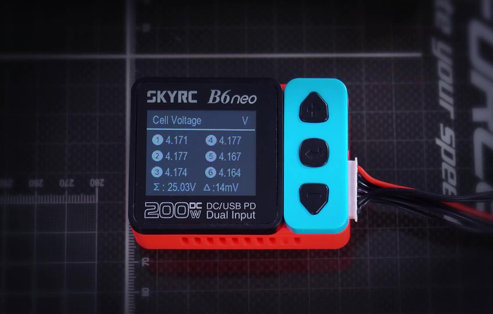 SkyRC/SK-100198-01/2