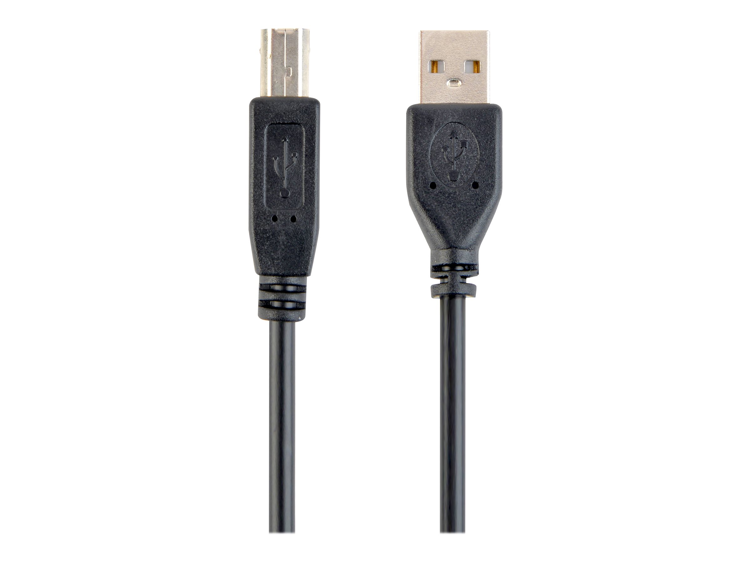 Cable Usb2 Am-Bm 4.5M / Ccp-Usb2-Ambm-15 Gembird