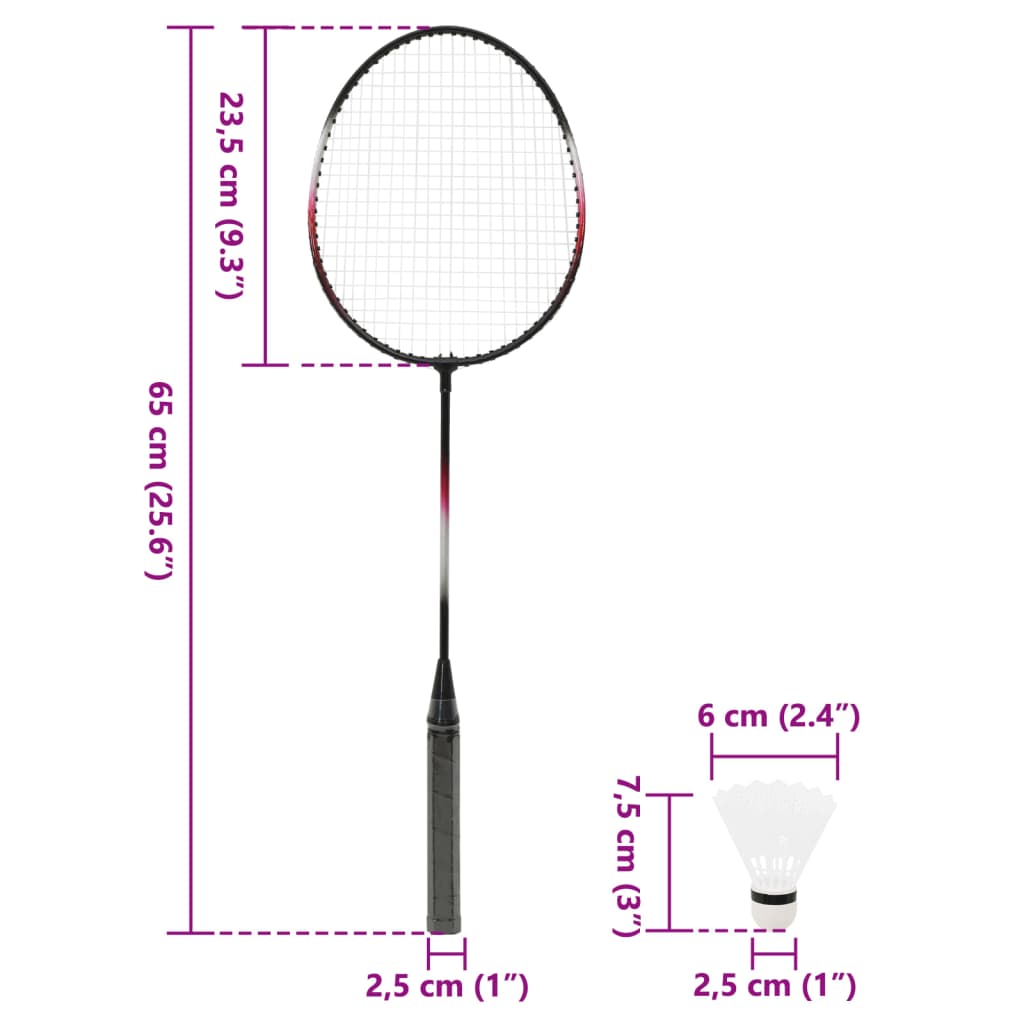 Badminton set with 2 rackets, net and storage case 292x30x152 cm