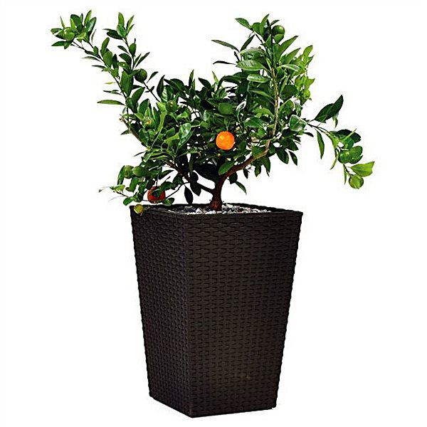 Keter Rattan Planter L 144 8L flower pot brown 29192302590