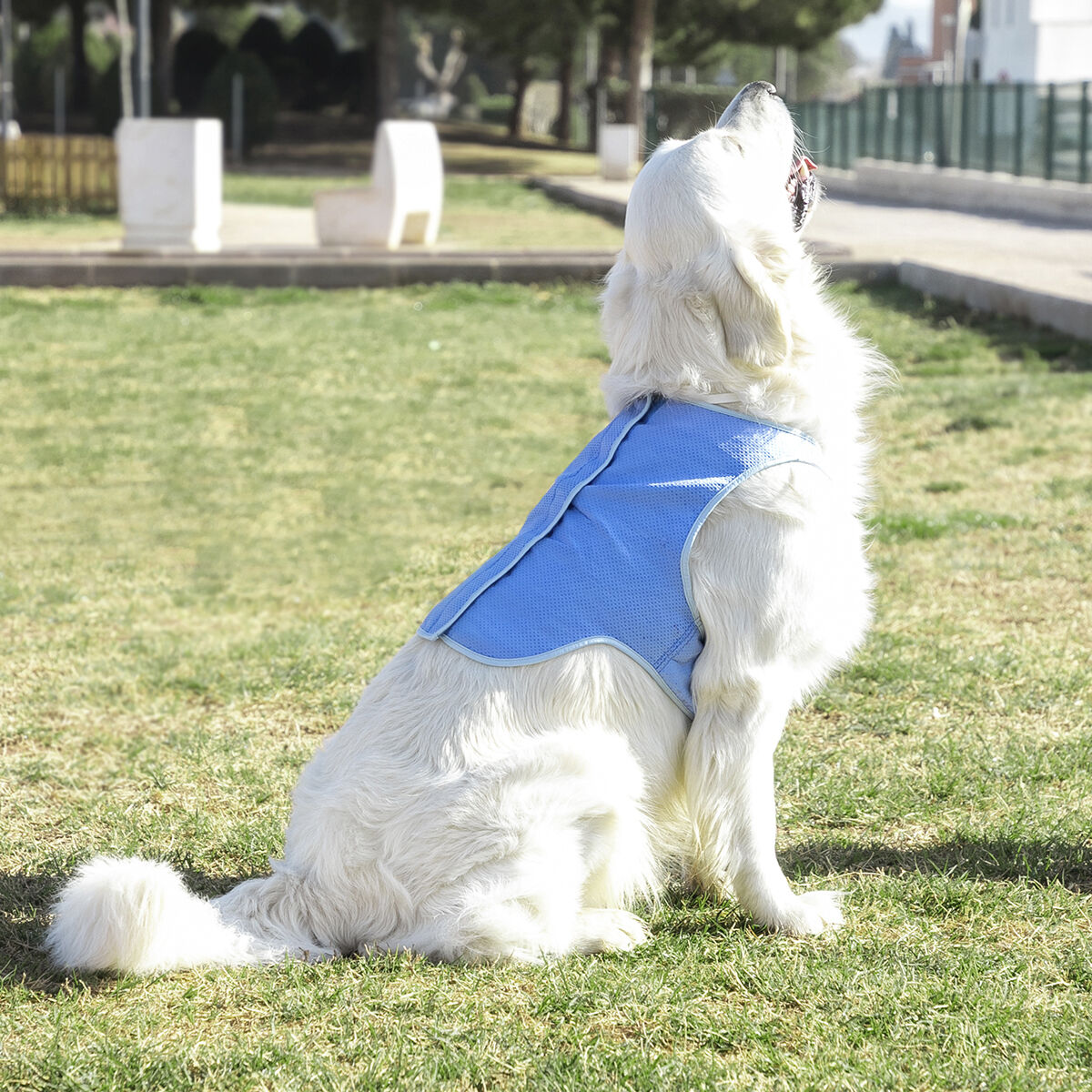 InnovaGoods Refreshing Pet Vest for Large Pets - L