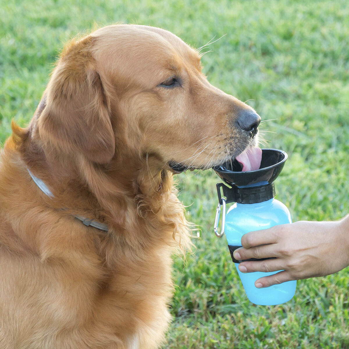 InnovaGoods Dog Water Bottle-Dispenser 