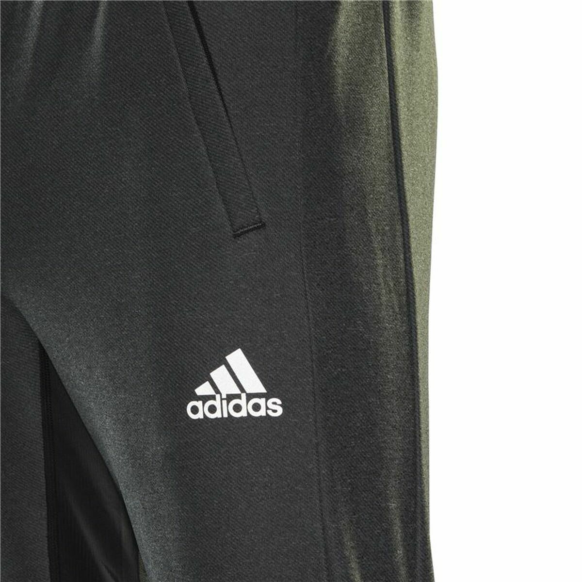 Täikasvanute püksid Adidas Training  Tumehall